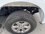 2025 F-150 Thumbnail 11