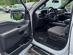 2025 F-150 Thumbnail 14