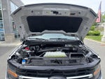 2025 F-150 Thumbnail 17
