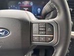 2025 F-150 Thumbnail 24