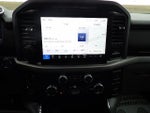 2025 F-150 Thumbnail 17