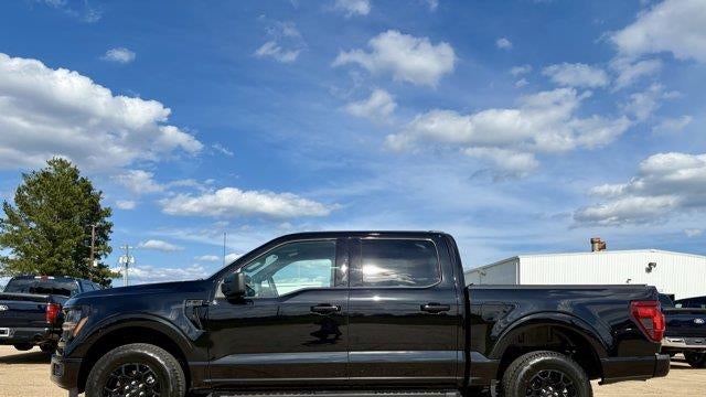Preowned 2025 Ford F-150 XLT for Sale