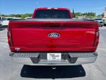 2025 F-150 Thumbnail 6