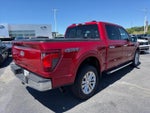 2025 F-150 Thumbnail 7
