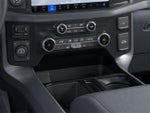 2025 F-150 Thumbnail 15