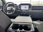 2025 F-150 Thumbnail 10