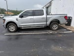 2025 F-150 Thumbnail 4