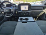 2025 F-150 Thumbnail 18