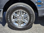 2025 F-150 Thumbnail 10