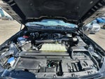 2025 F-150 Thumbnail 24