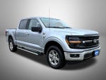 2025 F-150 Thumbnail 3
