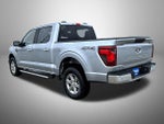 2025 F-150 Thumbnail 7