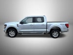 2025 F-150 Thumbnail 8