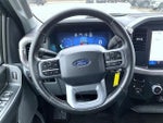 2025 F-150 Thumbnail 11