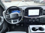 2025 F-150 Thumbnail 12