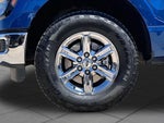 2025 F-150 Thumbnail 11