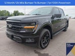 2026 F-150 Thumbnail 2