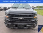 2026 F-150 Thumbnail 4