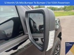 2026 F-150 Thumbnail 9