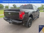 2026 F-150 Thumbnail 11