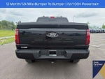 2026 F-150 Thumbnail 12