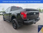 2026 F-150 Thumbnail 16