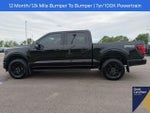2026 F-150 Thumbnail 17