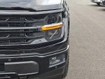 2024 F-150 Thumbnail 9