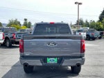 2024 F-150 Thumbnail 4