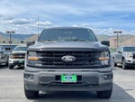 2024 F-150 Thumbnail 6