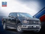 2024 F-150 Thumbnail 1