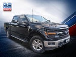2024 F-150 Thumbnail 2