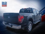 2024 F-150 Thumbnail 4