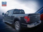 2024 F-150 Thumbnail 6