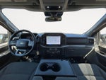 2024 F-150 Thumbnail 14