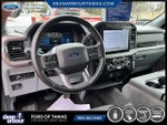 2024 F-150 Thumbnail 3