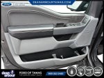 2024 F-150 Thumbnail 6