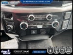 2024 F-150 Thumbnail 10