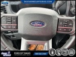 2024 F-150 Thumbnail 16