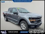 2024 F-150 Thumbnail 18