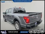 2024 F-150 Thumbnail 20