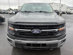 2024 F-150 Thumbnail 2