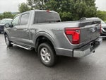 2024 F-150 Thumbnail 5