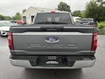 2024 F-150 Thumbnail 6