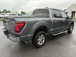 2024 F-150 Thumbnail 7