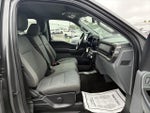 2024 F-150 Thumbnail 12