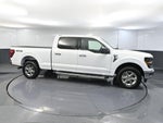 2024 F-150 Thumbnail 4