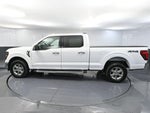 2024 F-150 Thumbnail 10