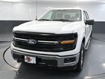 2024 F-150 Thumbnail 12