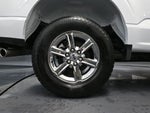 2024 F-150 Thumbnail 15
